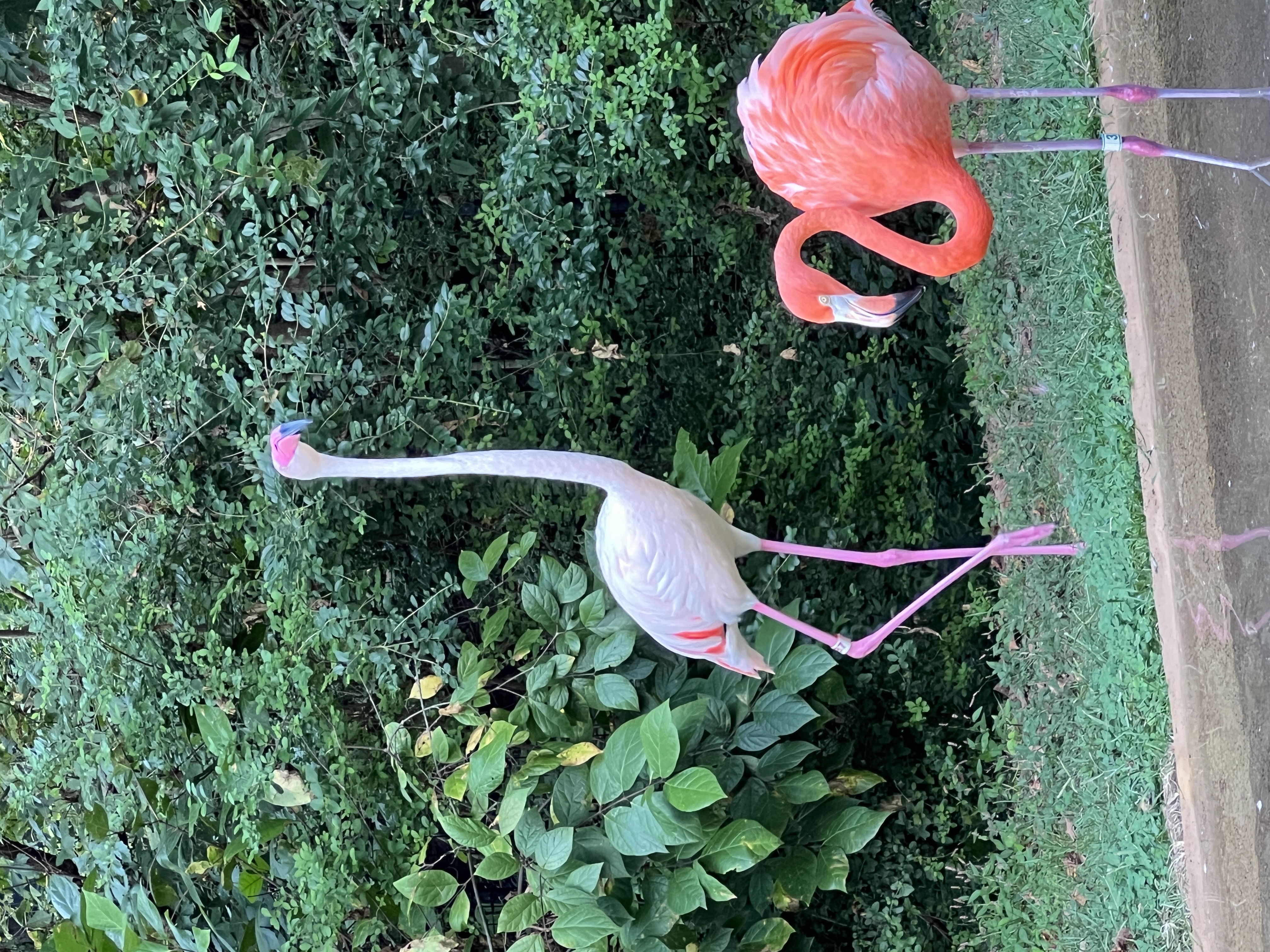 ./2025/11 - Nashville Trip/IMG_7237.JPG